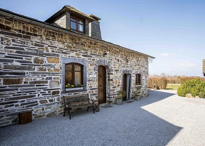 La Fagne Fleurie Les Myrtilles En Les Camomilles